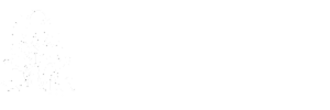 Grupo Ferreira